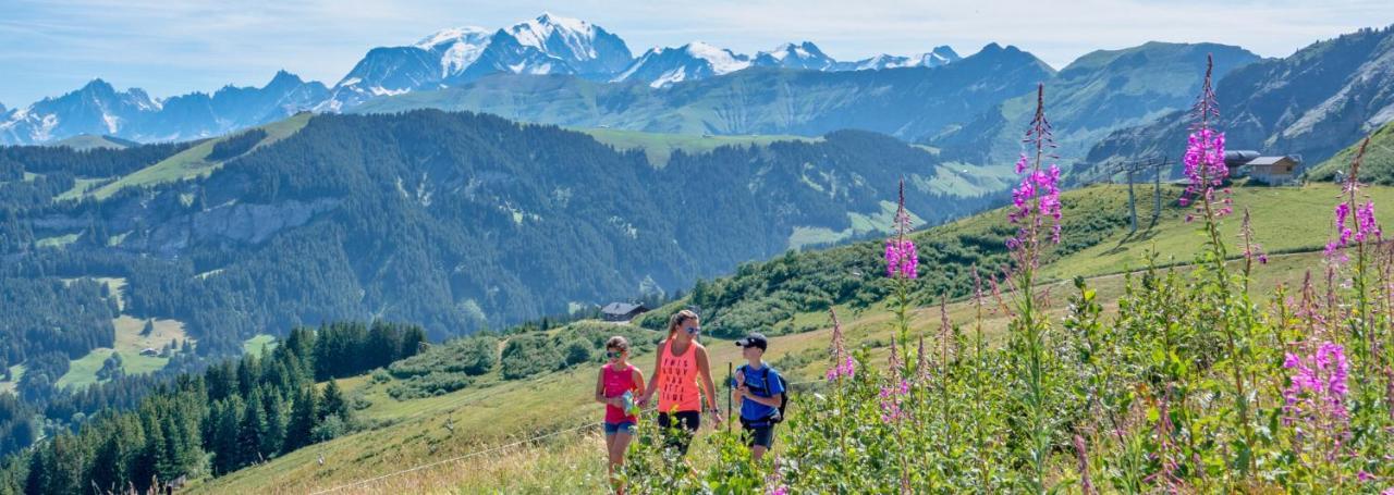 Апартаменты Fleur Des Montagnes Праз-Сур-Арлы Экстерьер фото