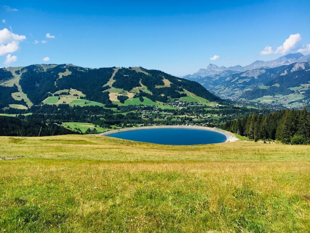 Апартаменты Fleur Des Montagnes Праз-Сур-Арлы Экстерьер фото